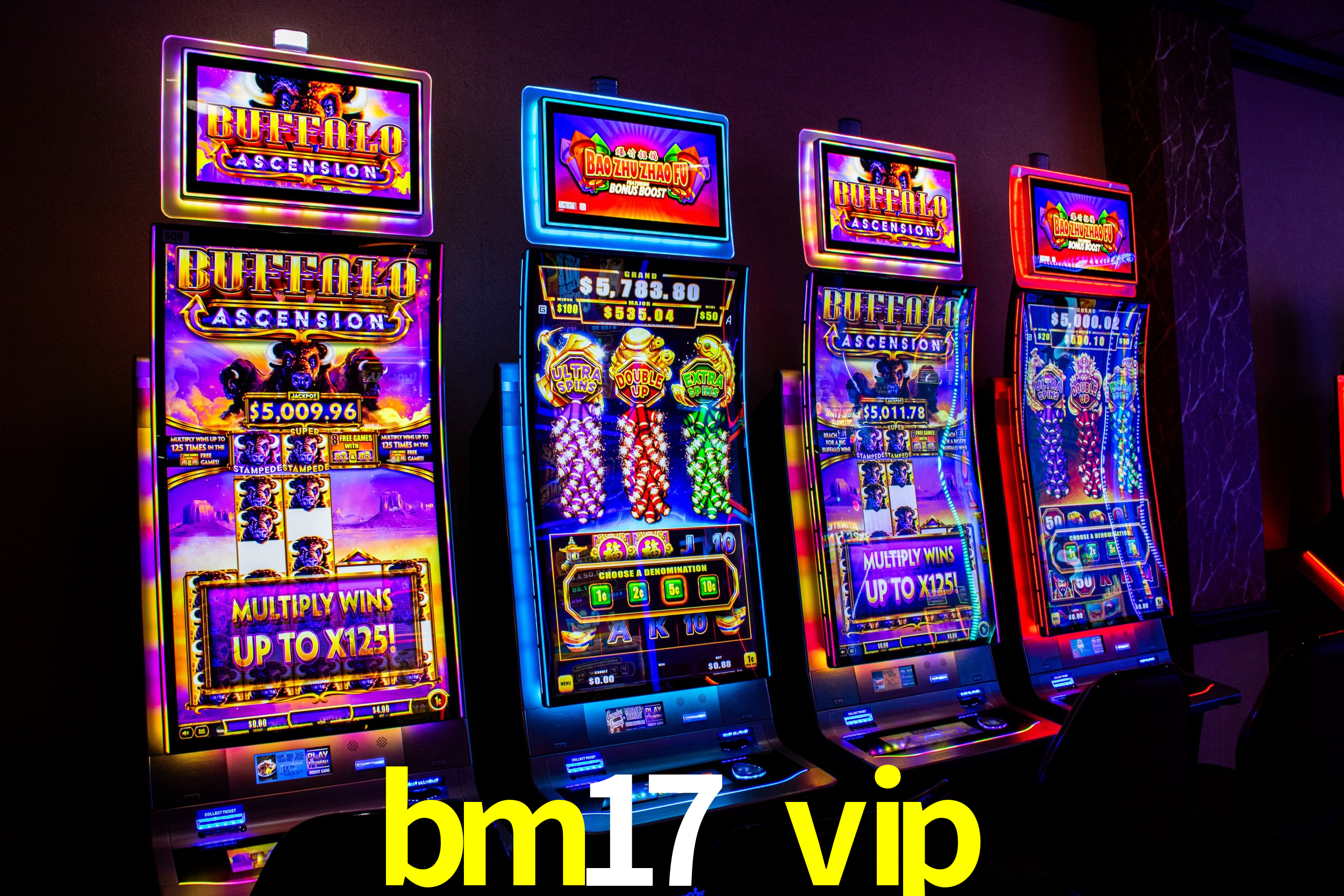 bm17 vip