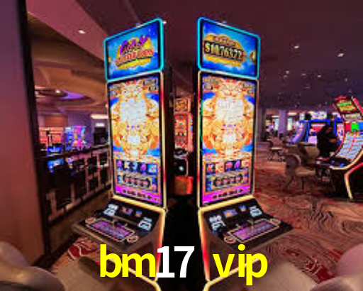 bm17 vip